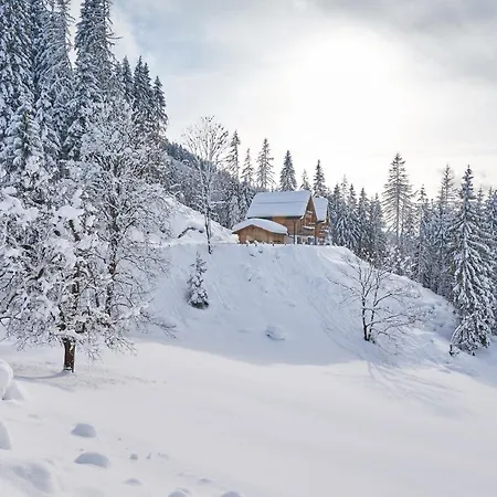 度假居 Haus Ostermoasspitz In St Martin Am Tennengebirge *